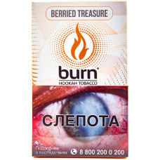 Табак Burn 100 гр Berried Treasure