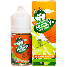 Жидкость Husky Mint Series Salt 30 мл Water Place 20 мг/мл